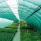Затіняюча СІТКА «AGREEN» 10М*50 М 60% для тіні